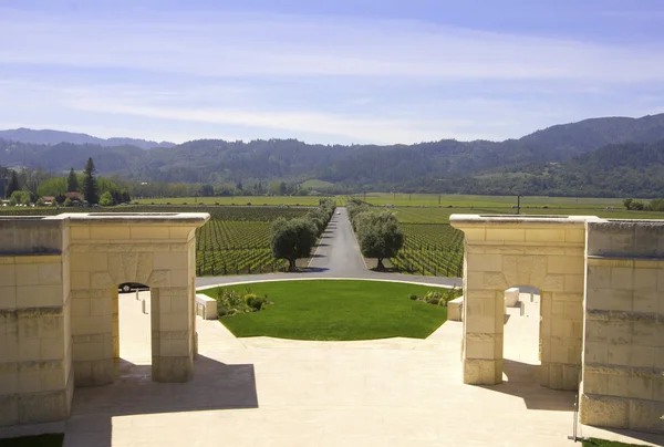 Paesaggio tipico con filari di uva nella regione vinicola della Napa Valley — Foto Stock