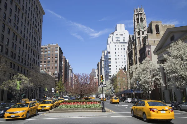 Fleurs printanières fleurissant sur Park Avenue à Manhattan — Photo