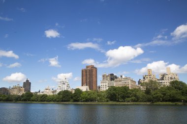 New York'taki central park manzarası