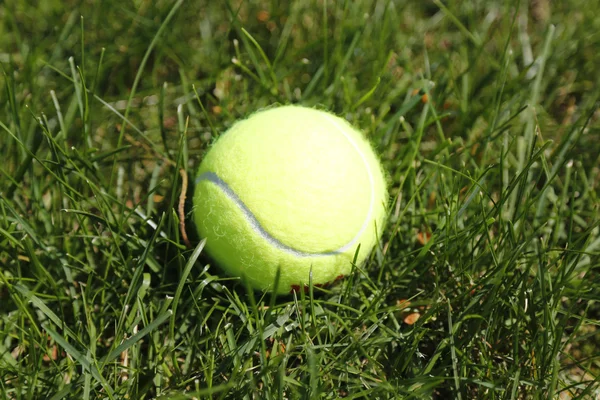 Balle de tennis sur herbe verte — Photo