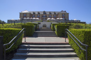 Domaine carneros şarap napa Vadisi, Kaliforniya