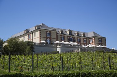 Domaine carneros şarap napa Vadisi, Kaliforniya