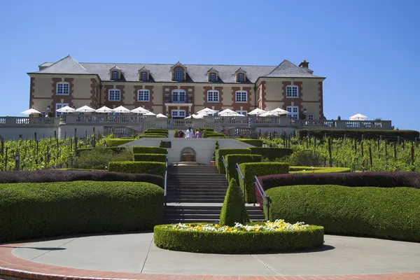 Azienda vinicola Domaine Carneros nella Napa Valley, California — Foto Stock