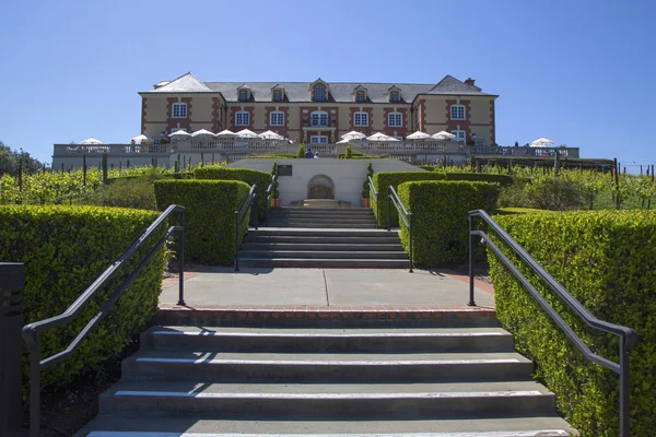 Domaine carneros winnicy w napa valley w Kalifornii — Zdjęcie stockowe