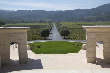Napa valley view opus bir winery den