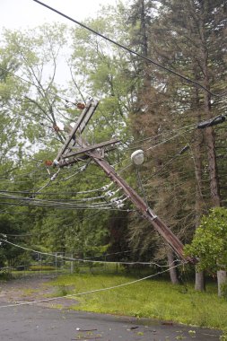 Şiddetli hava ve kasırga Ulster County, New York sonrasında güç hatları düşmüş ağaç zarar