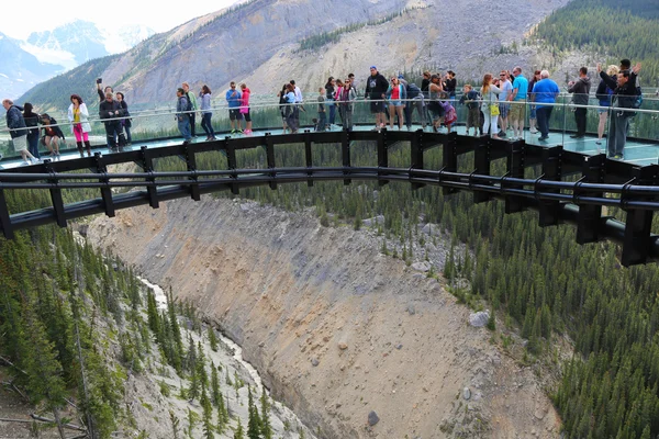 Tourists at the Glacier Skywalk in Jasper National Park — Stock Photo, Image