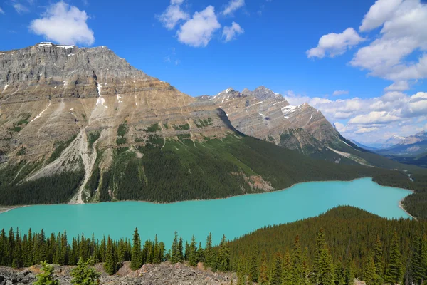 Letecký pohled na peyto jezera v banff národní park, alberta, Kanada — Stock fotografie