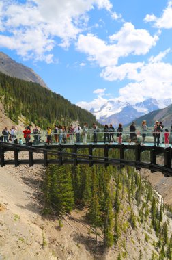 buzul Geçitin jasper national Park, Kanada turist