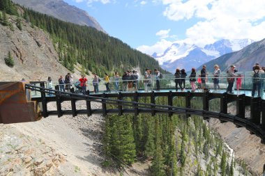 Tourists at the Glacier Skywalk in Jasper National Park,Canada clipart