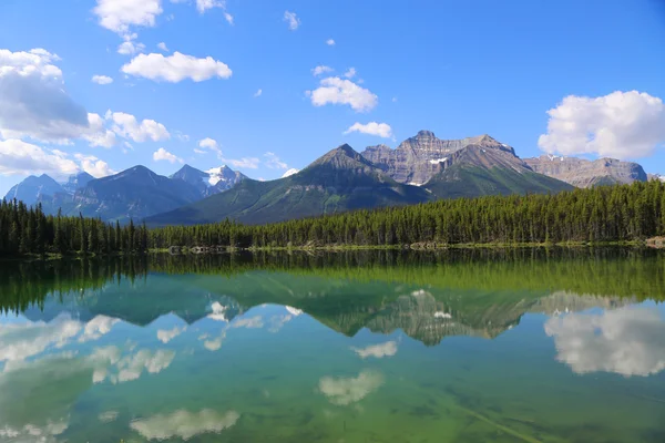 Reflektion på herbert lake i banff national park, alberta, Kanada — Stockfoto