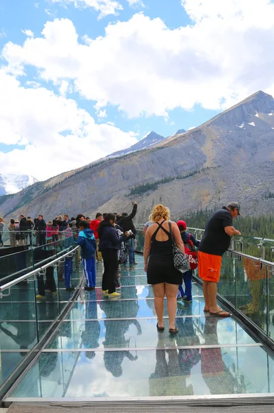 Tourists at the Glacier Skywalk in Jasper National Park,Canada — Stock Photo, Image