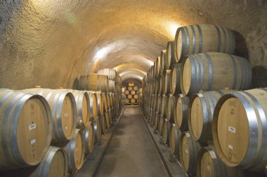 newton napa Valley şarap mahzenleri