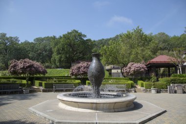 Birazdan üzüm bağları çeşme napa Valley