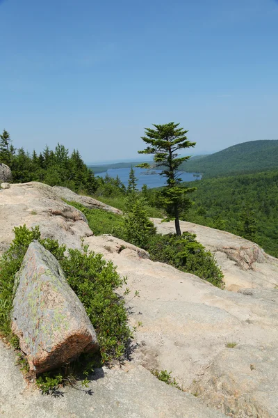 Vista real da montanha da bolha sul no parque nacional de Acadia, Maine, EUA — Fotografia de Stock