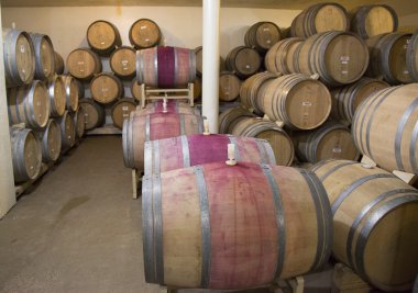 newton napa Valley şarap mahzenleri