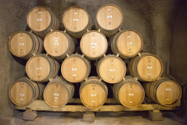 The cellars of Newton Winery in Napa Valley — Stock Photo, Image