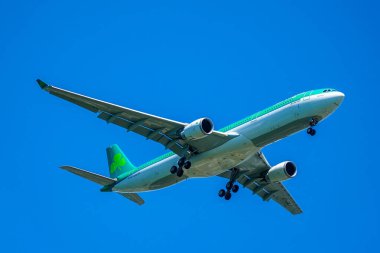 NEW YORK - 24 Haziran 2021: Aer Lingus uçağı New York 'taki JFK Uluslararası Havaalanına inmek için iniyor. Aer Lingus, İrlanda 'nın en büyük ikinci havayolu şirketidir. 