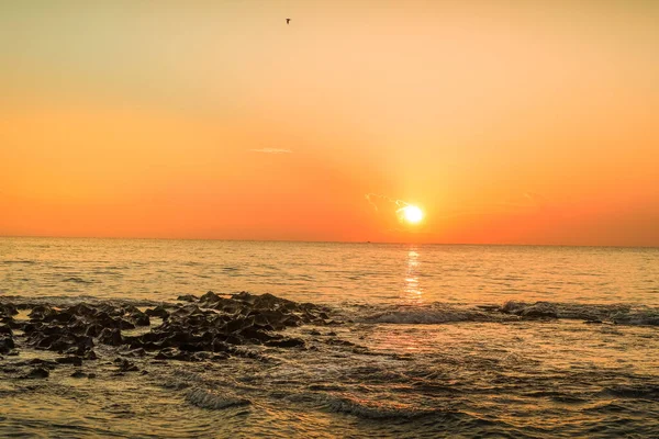 Sonnenaufgang Palm Beach Südflorida — Stockfoto