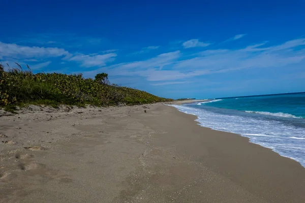 John Macarthur Beach State Park Palm Beach County Florida — Stockfoto