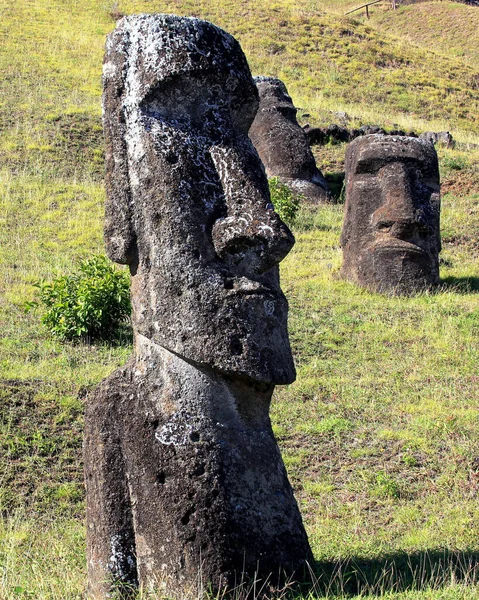 Moai Kamieniołomie Wyspa Wielkanocna Chile — Zdjęcie stockowe