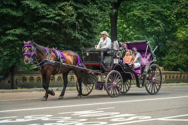 Nueva York Julio 2021 Gente Disfruta Del Paseo Carruaje Central — Foto de Stock