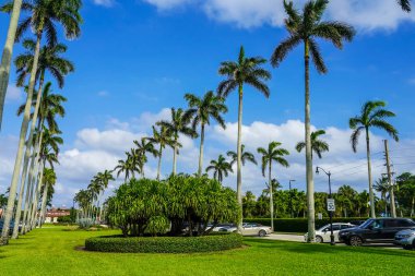 PALM BEACH - 23 Nisan 2021 Palm Beach, Florida 'daki Royal Poinciana Yolu 