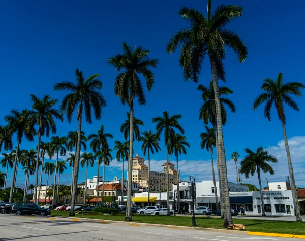 Palm Beach Styczeń 2021 Królewska Droga Poinciana Palm Beach Floryda — Zdjęcie stockowe