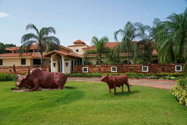 Romana Dominican Republic Haziran 2021 Dominik Cumhuriyeti Ndeki Casa Campo — Stok fotoğraf