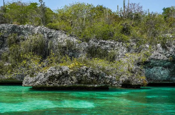 Küste Und Klippen Auf Der Isla Catalina Südlich Der Dominikanischen — Stockfoto