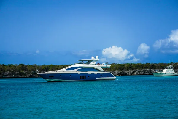 Catalina Island Dominican Republic June 2021 Luxury Yachts Catalina Island — стокове фото