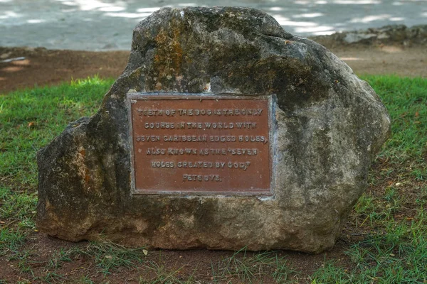 Romana República Dominicana Junho 2021 Dentes Famosos Cão Campo Golfe — Fotografia de Stock