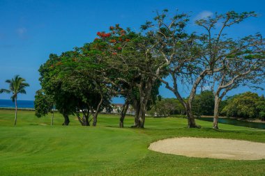 Güzel Karayip Golf Sahası 