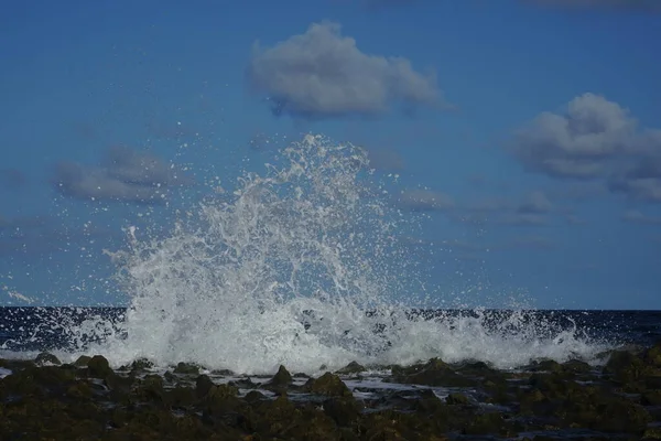 Bølge Floridas Atlantic Beach - Stock-foto