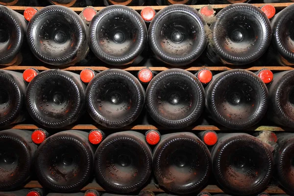 Champagne Bottles Stock Champagne Cellar Reims France — Stock Photo, Image