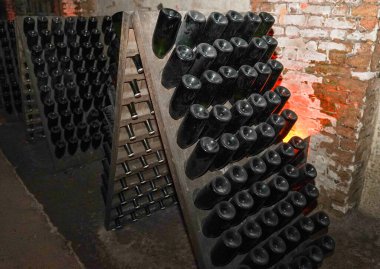 Champagne bottles in pupitre in Reims, France. Remuage, or riddling, of champagne
