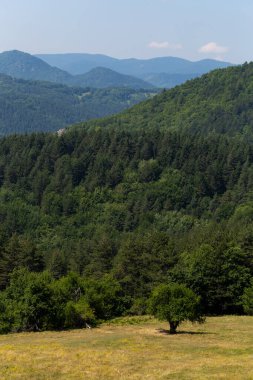 Rhodopes, Güneydoğu Avrupa 'da bir sıradağdır. Panorama. Orman alanı dağları kaplıyor..