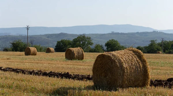 小麦收获 田里堆满了稻草 山区的农业 — 图库照片