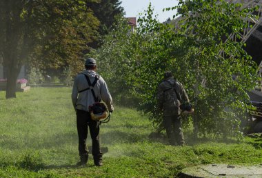 Çim biçme makinesi olan iki kişi çimleri biçiyor. Benzinle çalışan tel budayıcı kullanan bir adam..