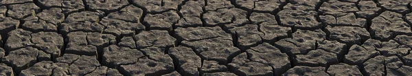 干ばつのために地球は割れた 地球上の水の世界的な不足 地球温暖化の概念 土地の乾燥した亀裂 — ストック写真