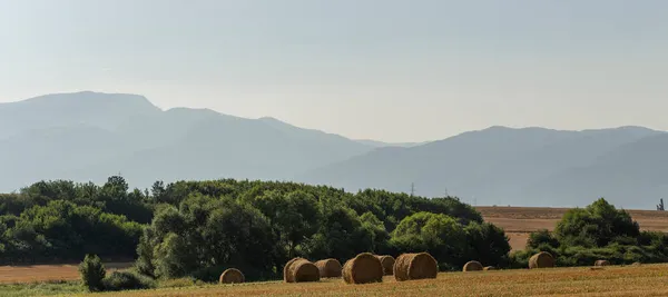 Zbieranie Pszenicy Okrągłe Bele Słomy Terenie Rolnictwo Obszarach Górskich — Zdjęcie stockowe