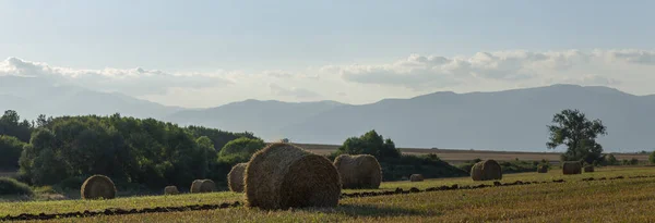 Colheita Trigo Fardos Redondos Palha Campo Agricultura Zonas Montanhosas — Fotografia de Stock