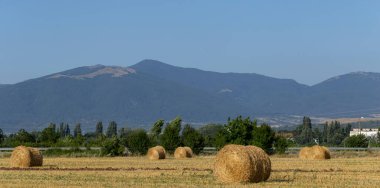 Buğday hasadı. Tarlada yuvarlak saman balyaları. Dağlık alanlarda tarım.
