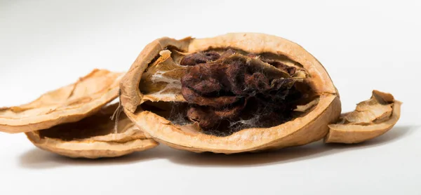 Ořechy Jsou Kulaté Jedlé Peckoviny Ořechového Stromu Rozmazlené Shnilé Zlomené — Stock fotografie