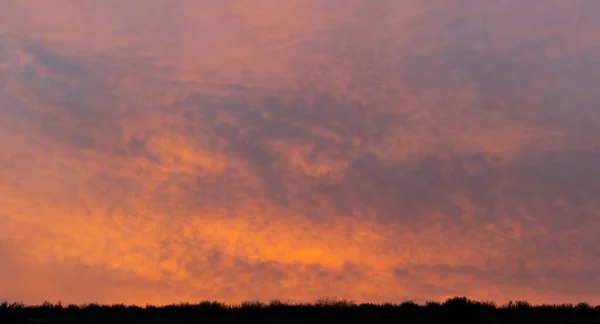 Akşam Günbatımı Panorama Mor Bulutlar Trajik Kasvetli Gökyüzü — Stok fotoğraf