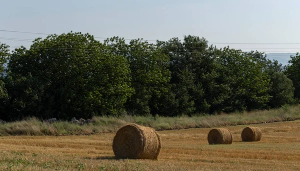 Búza Betakarítás Szalmabálák Mezőn Mezőgazdaság Hegyvidéki Területeken — Stock Fotó