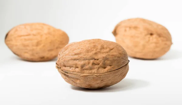 Ořechy Jsou Kulaté Jednoděložné Peckové Plody Ořechového Stromu — Stock fotografie