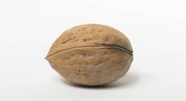 Cevizler yuvarlaktır, ceviz ağacının tek tohumlu taş meyveleri..