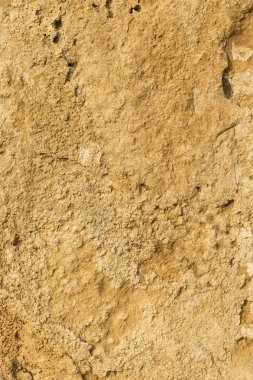 Büyük kumtaşı levhası, arka plan. Tortul kayaların katmanlı yapısı. 