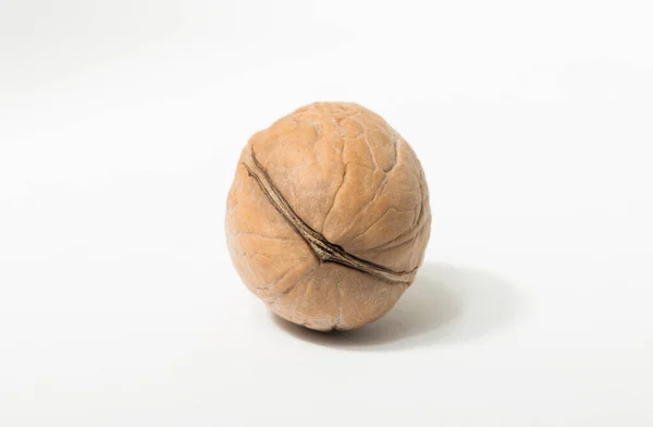 Ořechy Jsou Kulaté Jednoděložné Peckové Plody Ořechového Stromu — Stock fotografie
